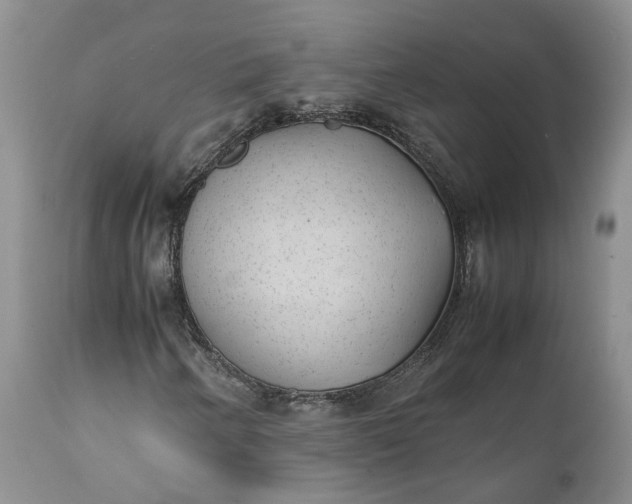 X0000111391250200907241325