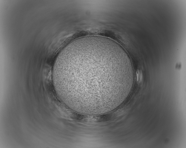 X0000111391251200907241325