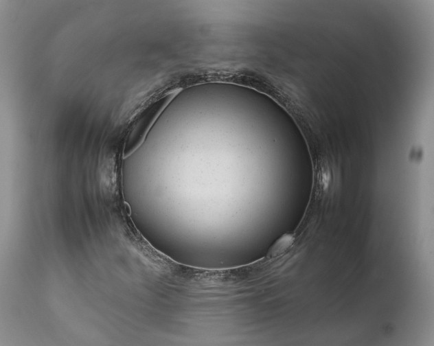 X0000111391252200907241325