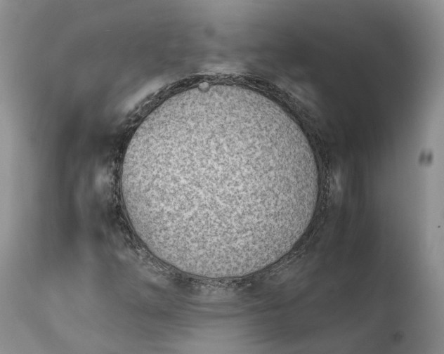 X0000111391254200907241325