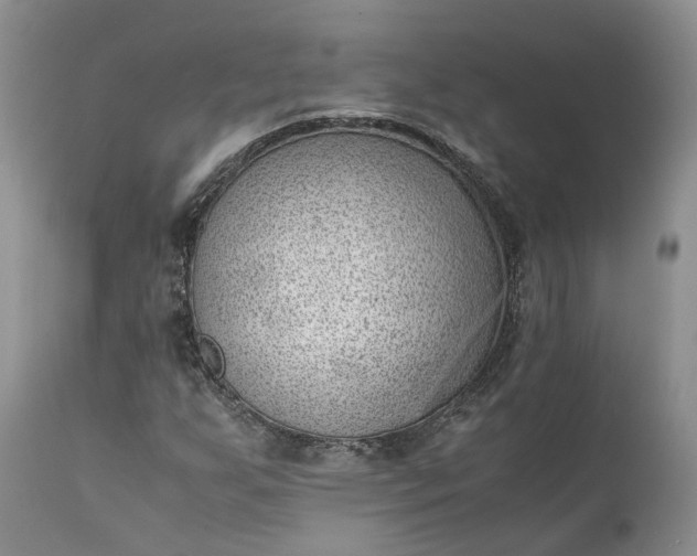 X0000111391255200907241325