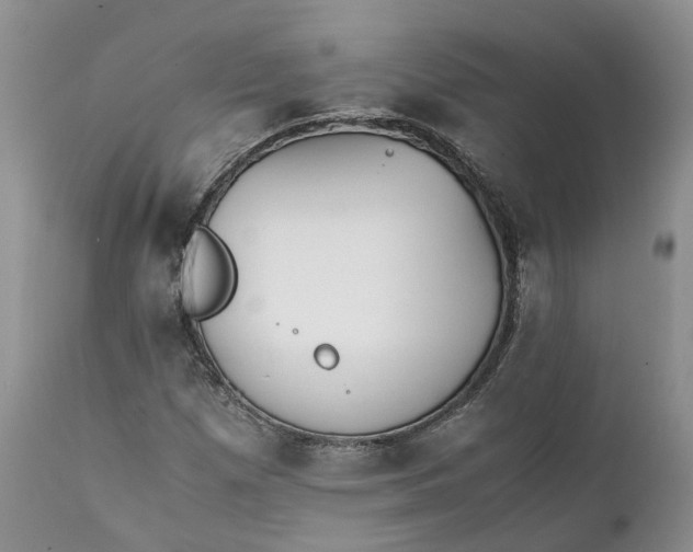 X0000111391257200907241325