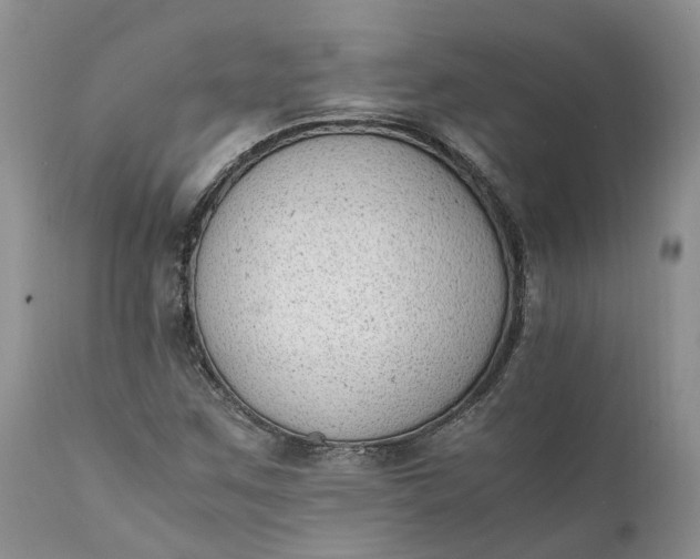 X0000111391259200907241325