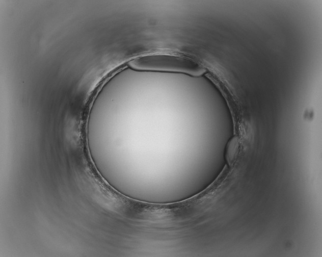 X0000111391260200907241325