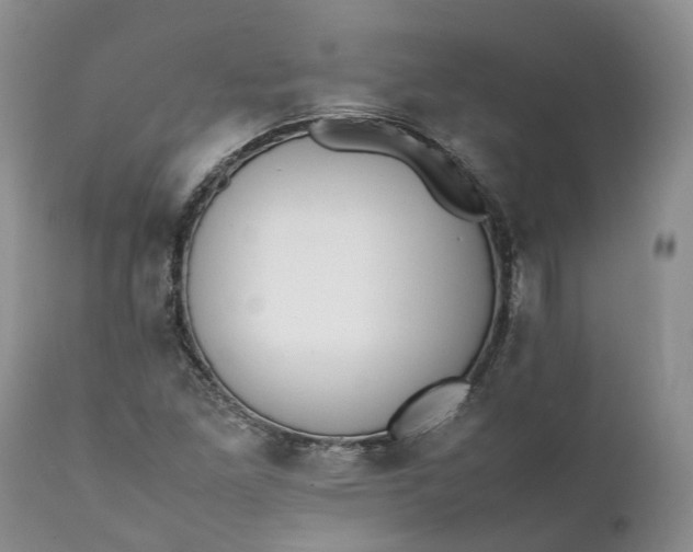 X0000111391261200907241325