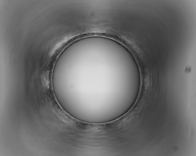 X0000111391262200907241325