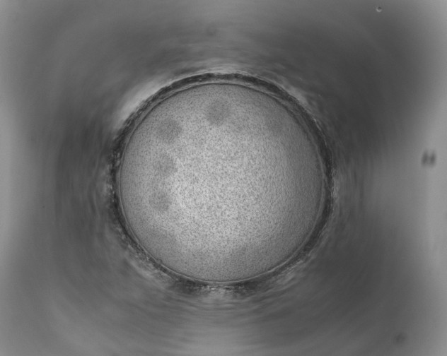 X0000111391263200907241325