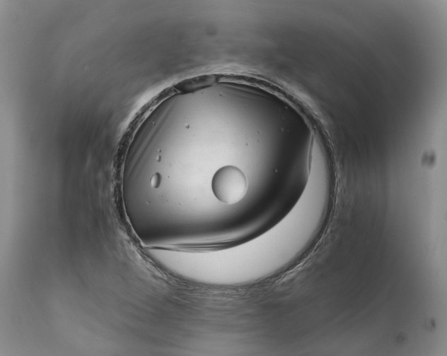 X0000111391264200907241325