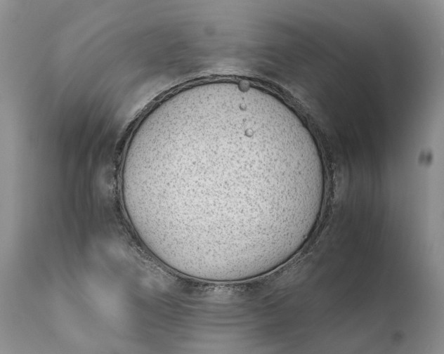 X0000111391266200907241325