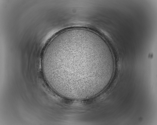 X0000111391267200907241325