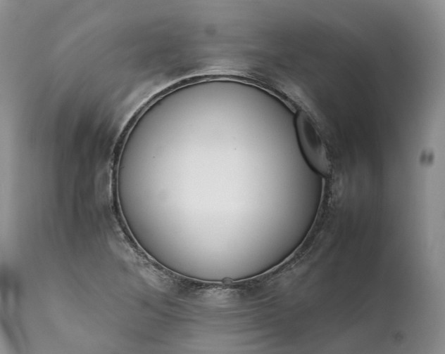 X0000111391268200907241325