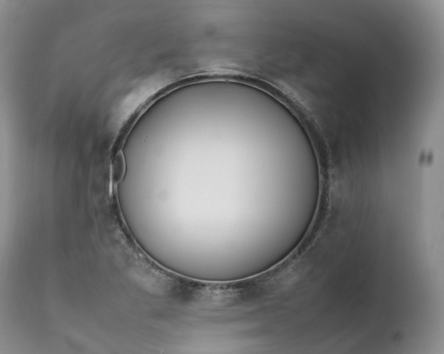 X0000111391269200907241325