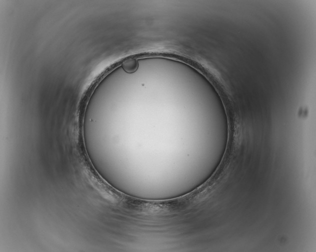 X0000111391270200907241325