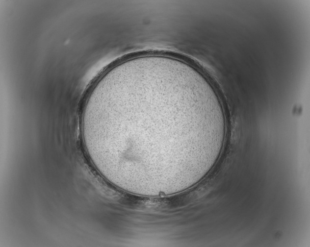 X0000111391271200907241325