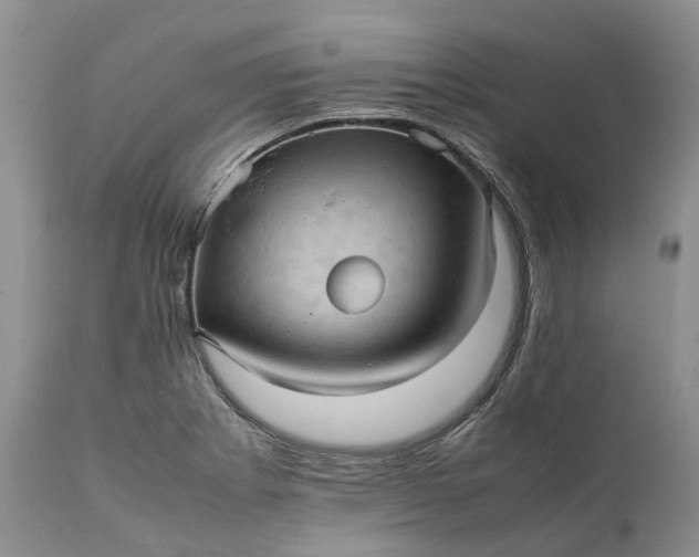 X0000111391273200907241325