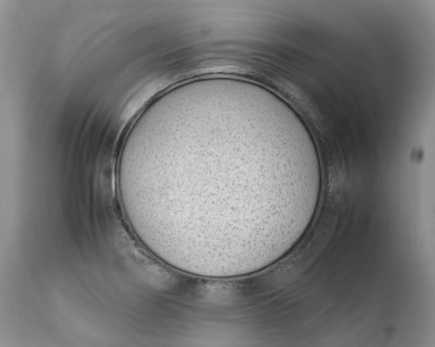 X0000111391274200907241325