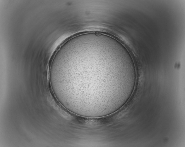 X0000111391275200907241325