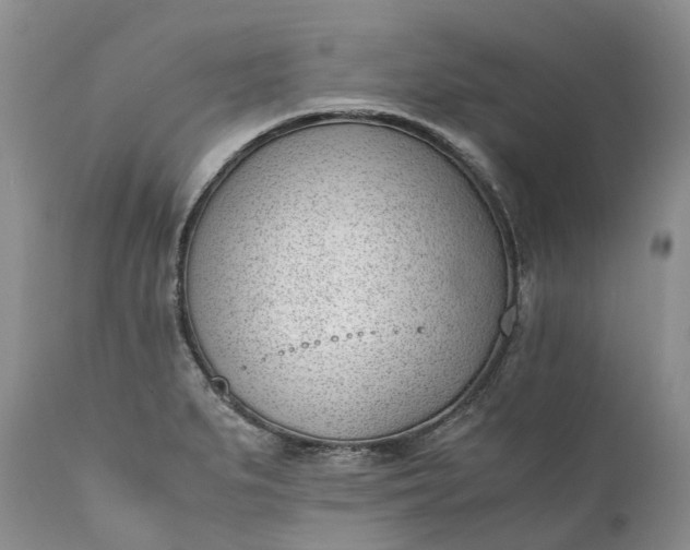 X0000111391279200907241325