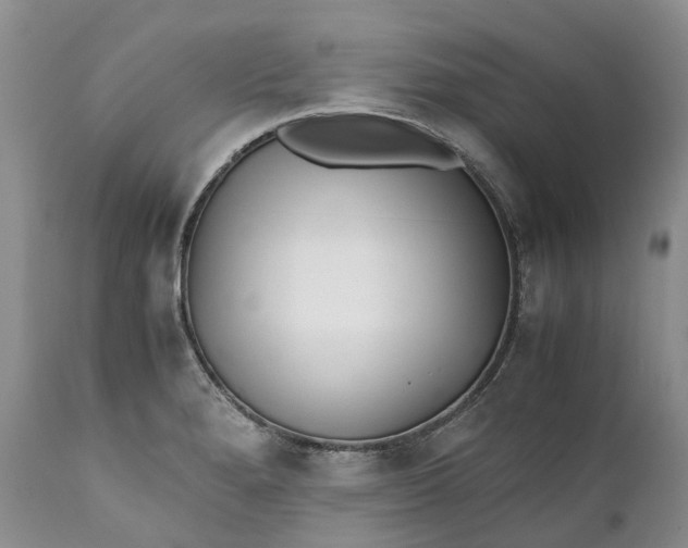 X0000111391280200907241325