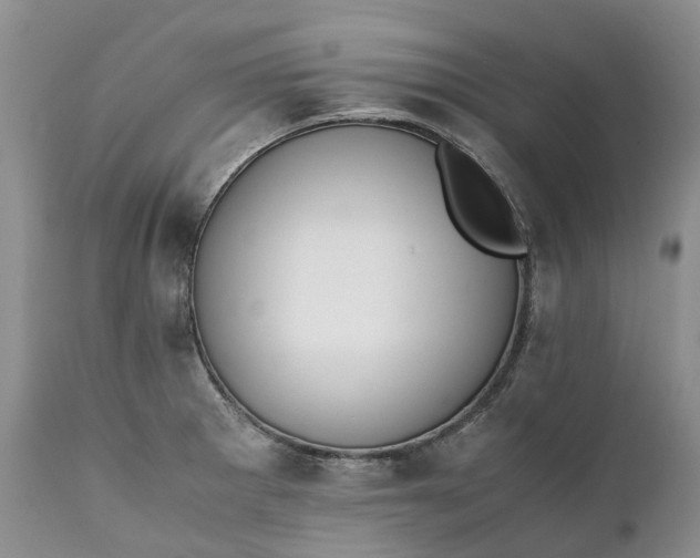 X0000111391281200907241325