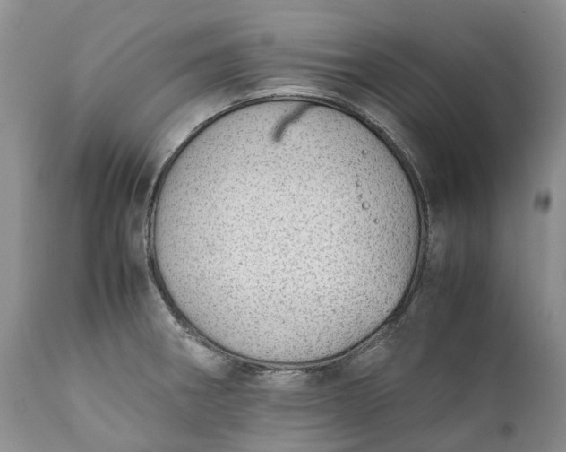 X0000111391282200907241325