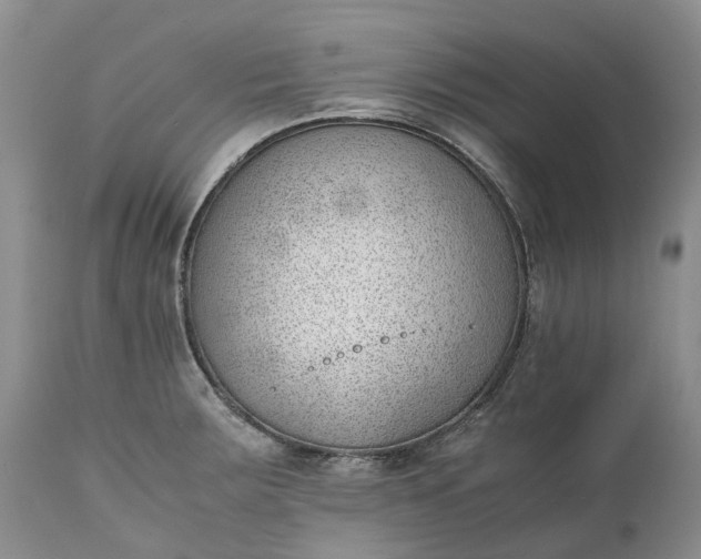 X0000111391283200907241325