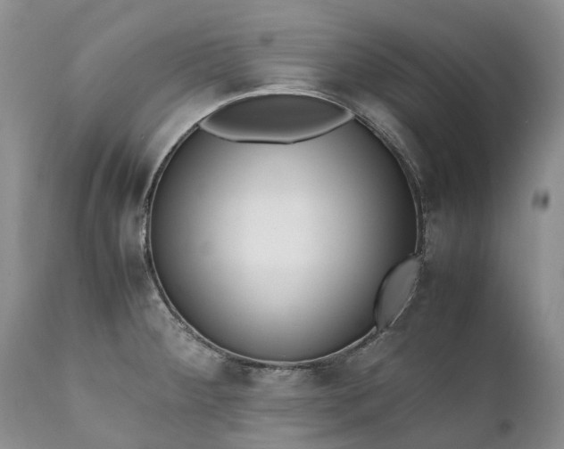 X0000111391284200907241325