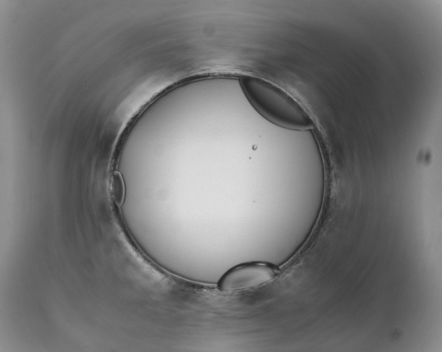 X0000111391285200907241325