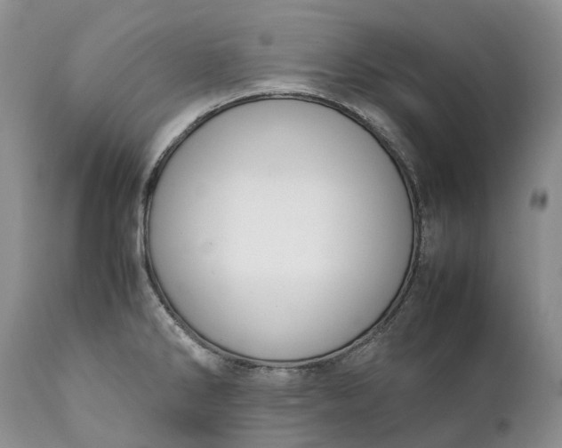 X0000111391286200907241325