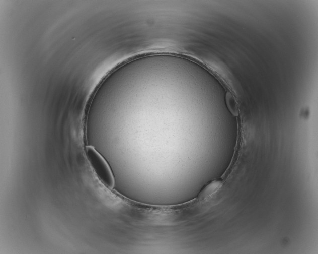 X0000111391288200907241325