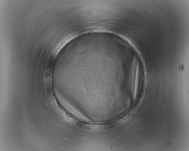 X0000111391289200907241325