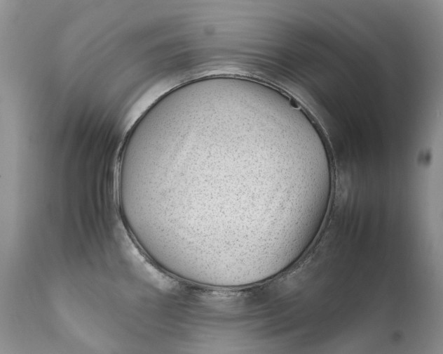 X0000111391290200907241325