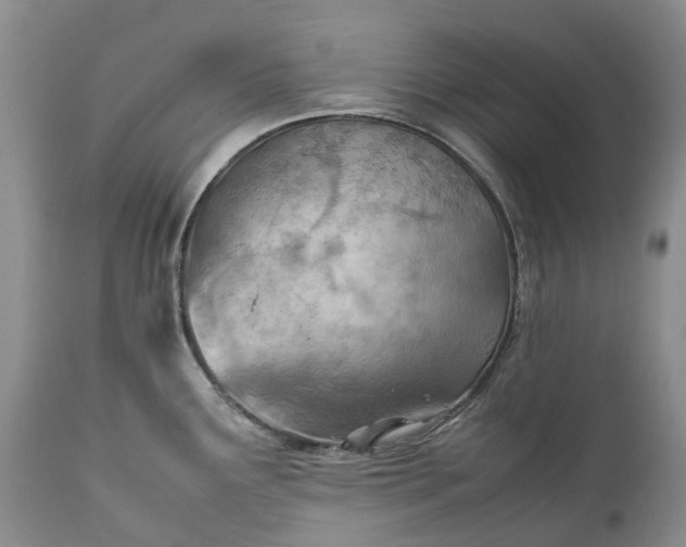 X0000111391291200907241325