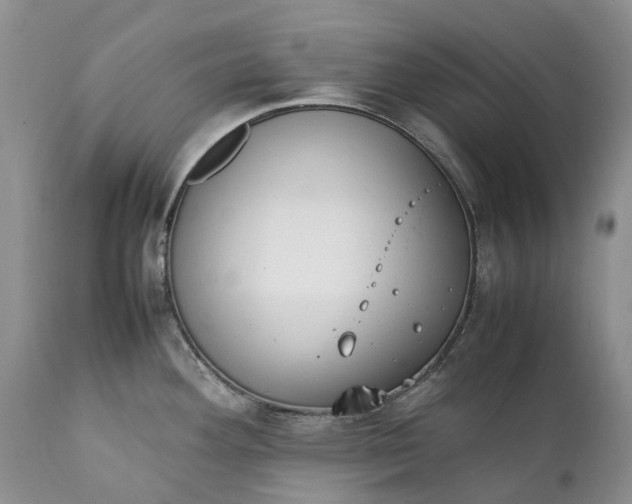 X0000111391292200907241325