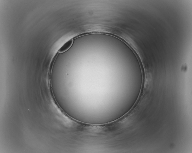 X0000111391293200907241325