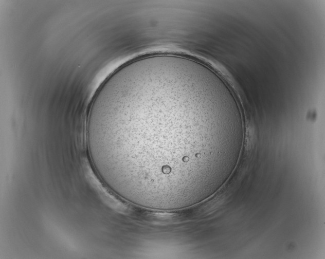 X0000111391295200907241325