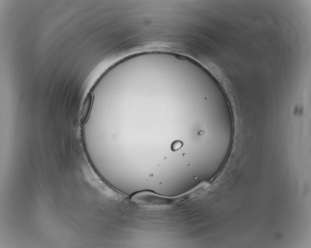 X0000111391296200907241325