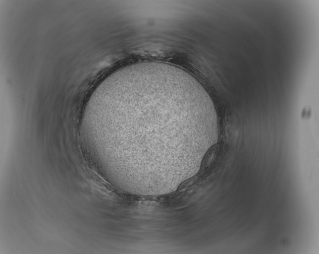 X0000111391297200907241324