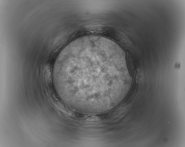 X0000111391298200907241324