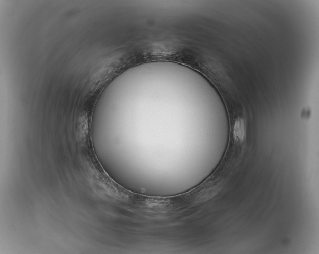 X0000111391299200907241324