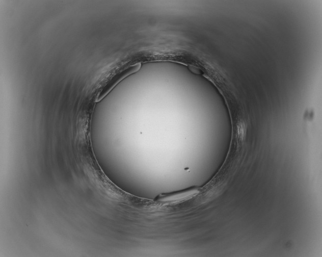 X0000111391300200907241324