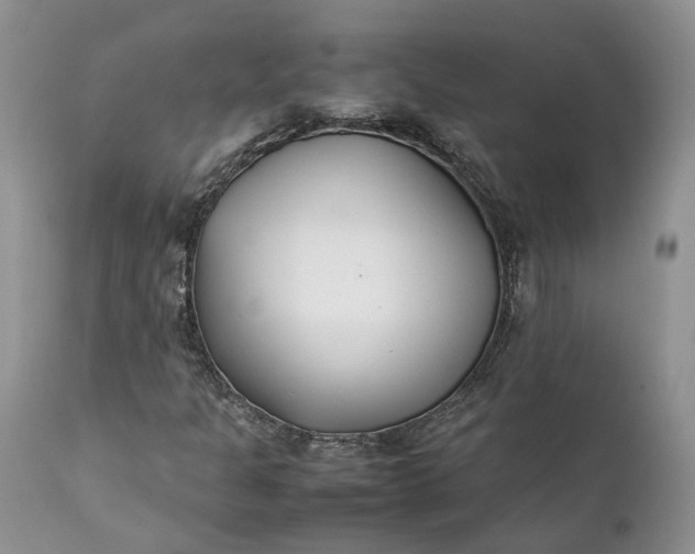 X0000111391301200907241324