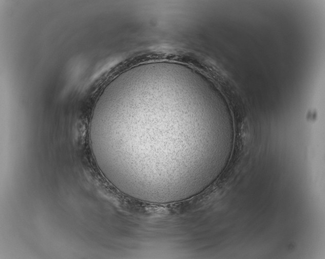 X0000111391302200907241324