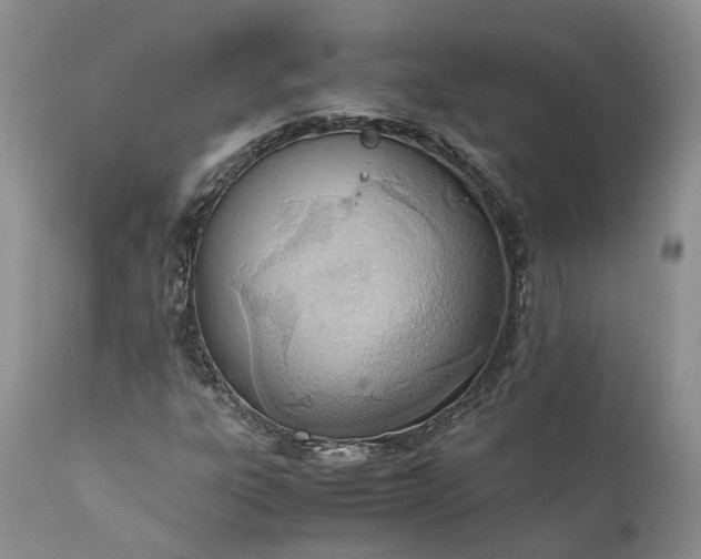 X0000111391303200907241324