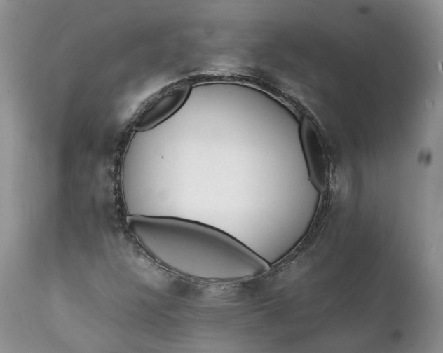 X0000111391304200907241324