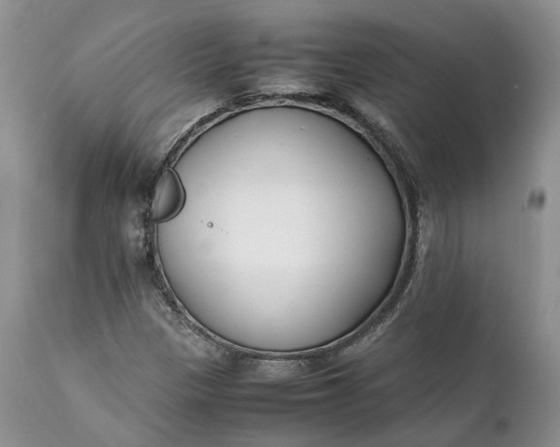 X0000111391305200907241324