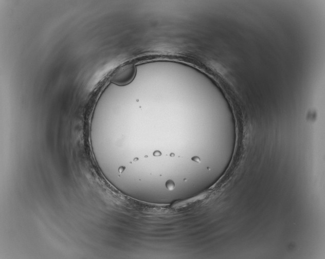 X0000111391307200907241324