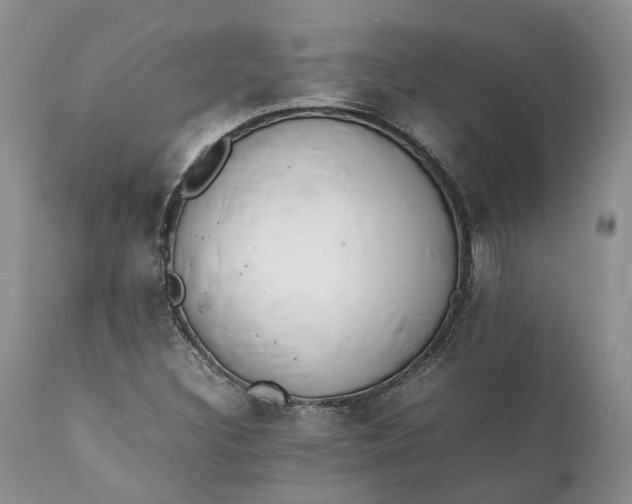 X0000111391308200907241324