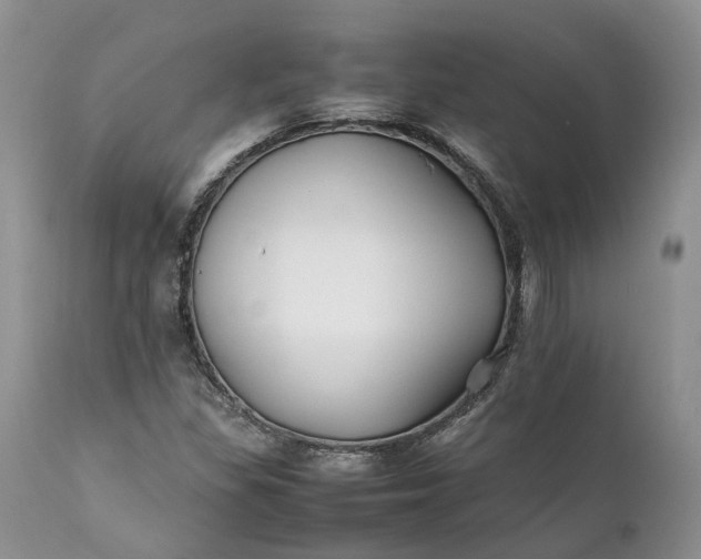 X0000111391309200907241324