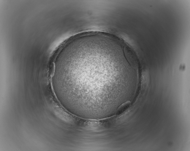 X0000111391310200907241324